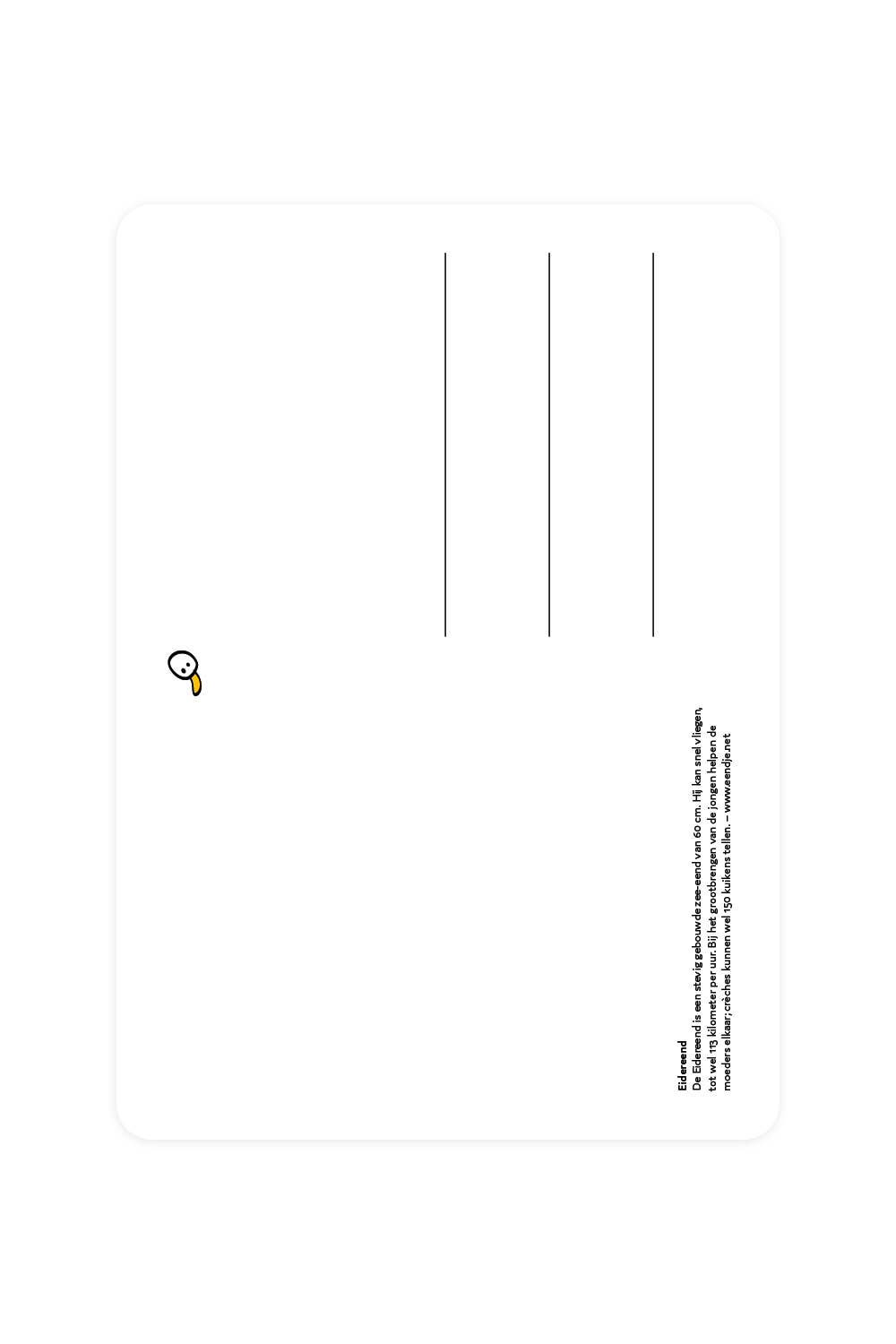 Carte postale avec Eider