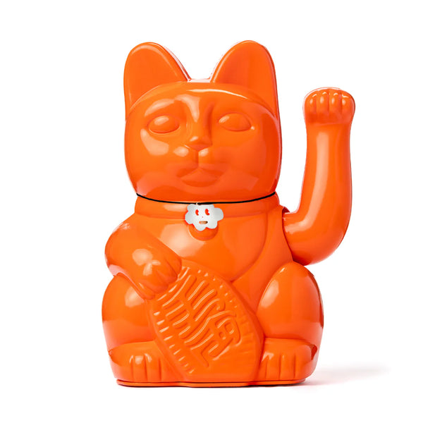 Lucky orange cat