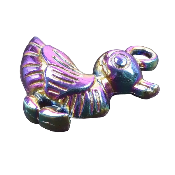 Rainbow Duck Charm