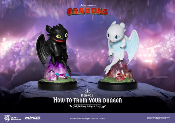 Toothless & Light Fury