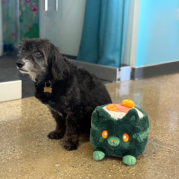Peluche Mini Squishable – Nori Chat