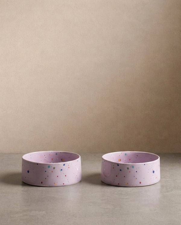 New Party Pet Bowl 16.5cm Set 2 Lilac