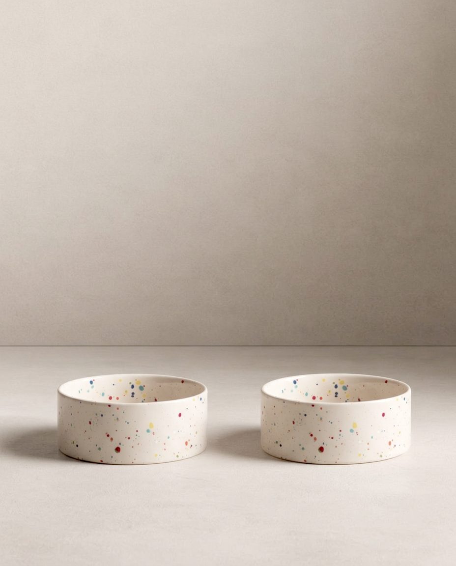 Lot de 2 gamelles New Party – 14 cm