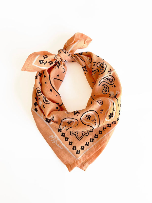 Small scarf - OSCAR