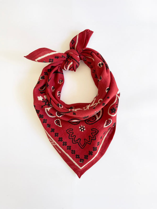 Small scarf - OSCAR