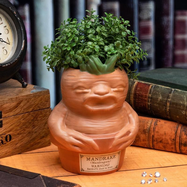 Pot Mandragore