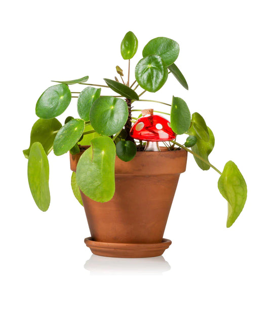 Autonomous fussy sprinkler