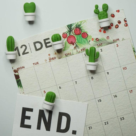 Cactus Magnets “Cacnet”