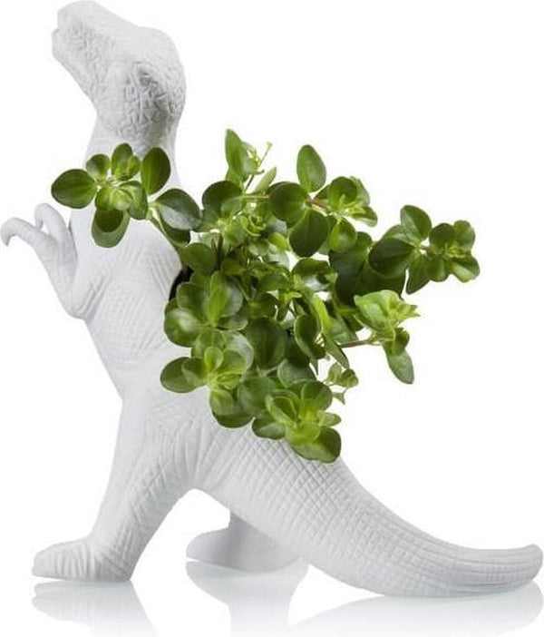 Pot de fleur Dinosaure Plantosaurus Rex Bitten – Cache-pot original