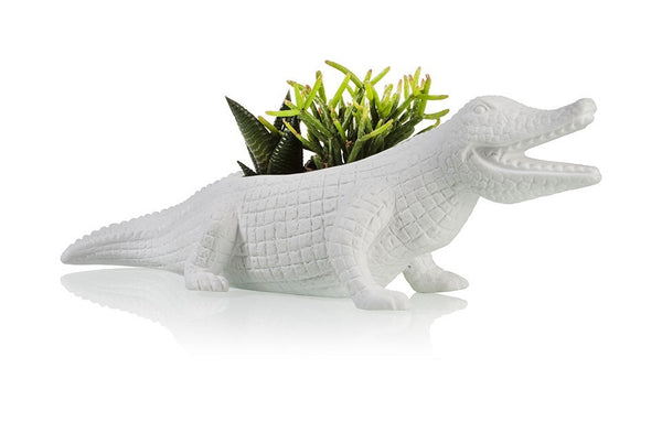 Pot de fleur Crocodile Bitten – Cache-pot original