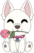 Ayla Plush (9in)