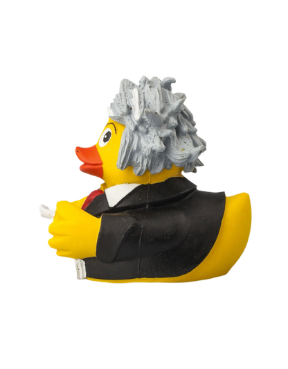Beethoven Duck
