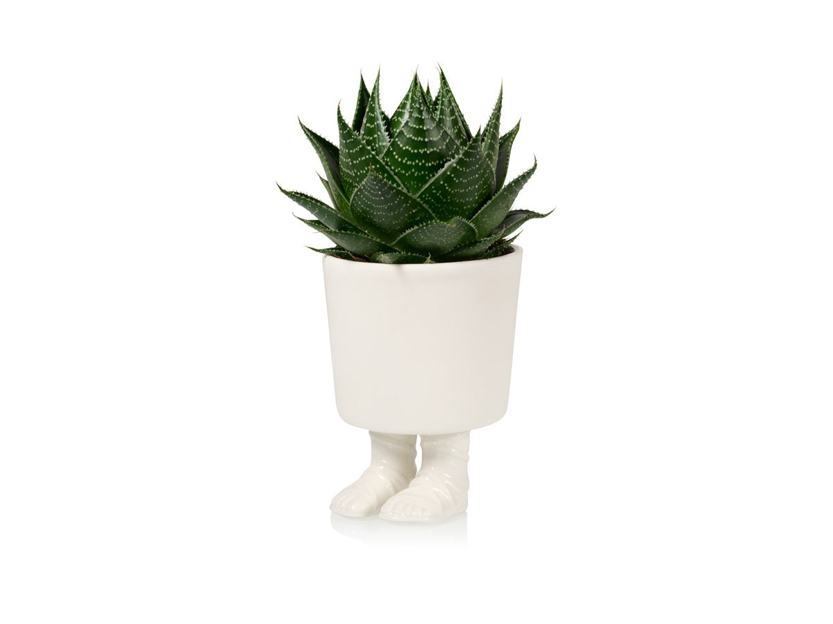 Gladiator Sandals Flower Pot