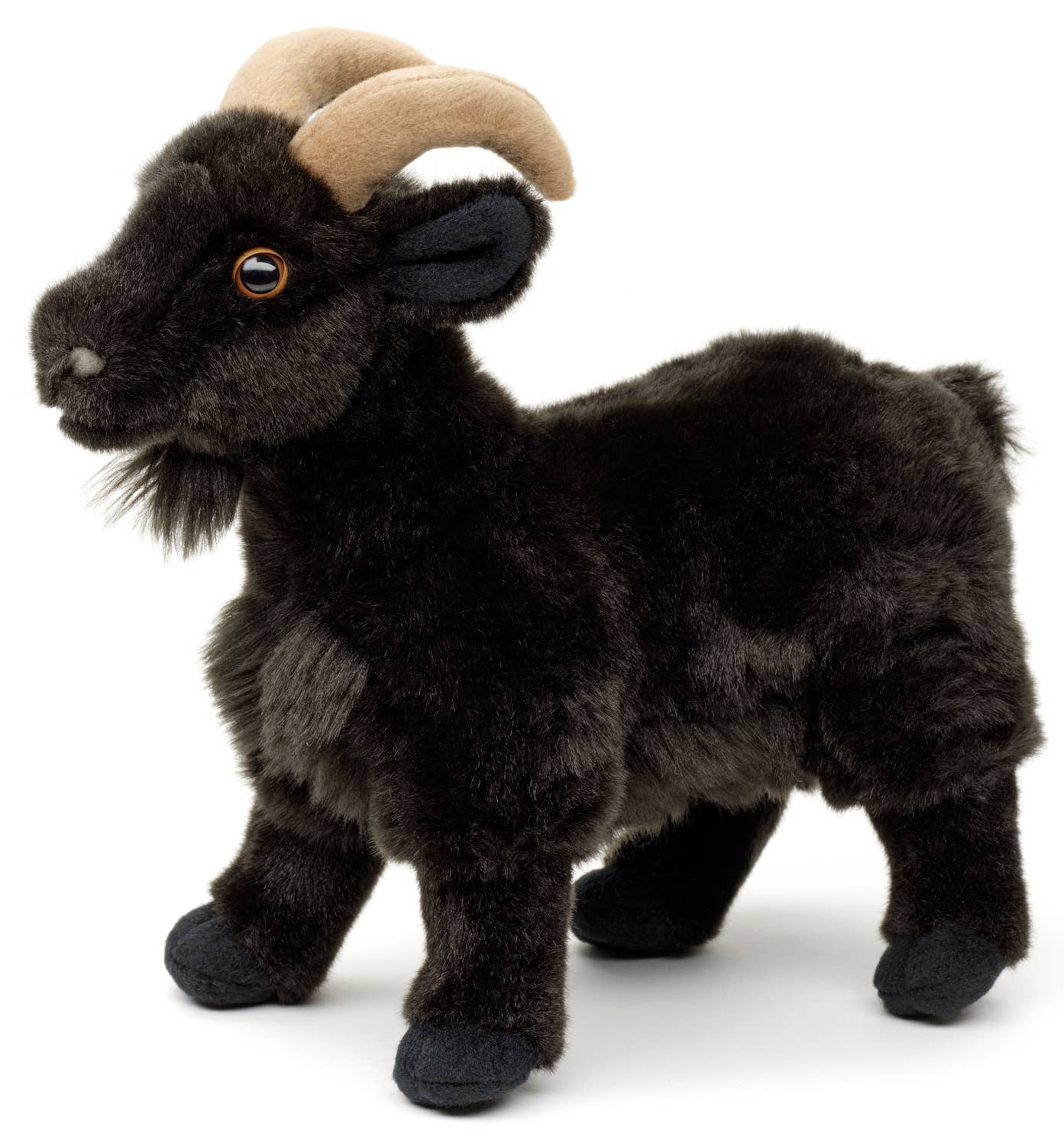 Goat