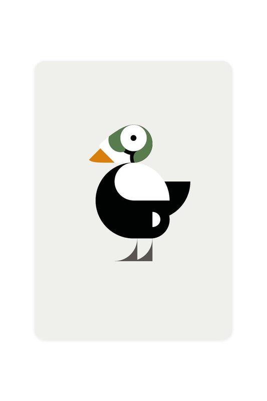 Postcard with Spectacled Eider