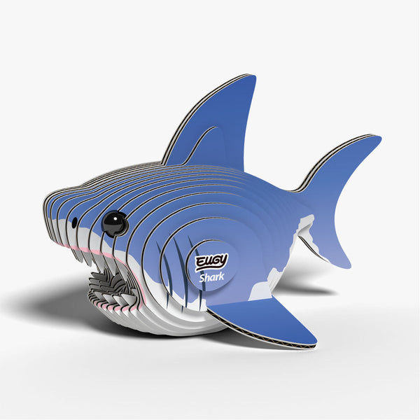 019 Requin