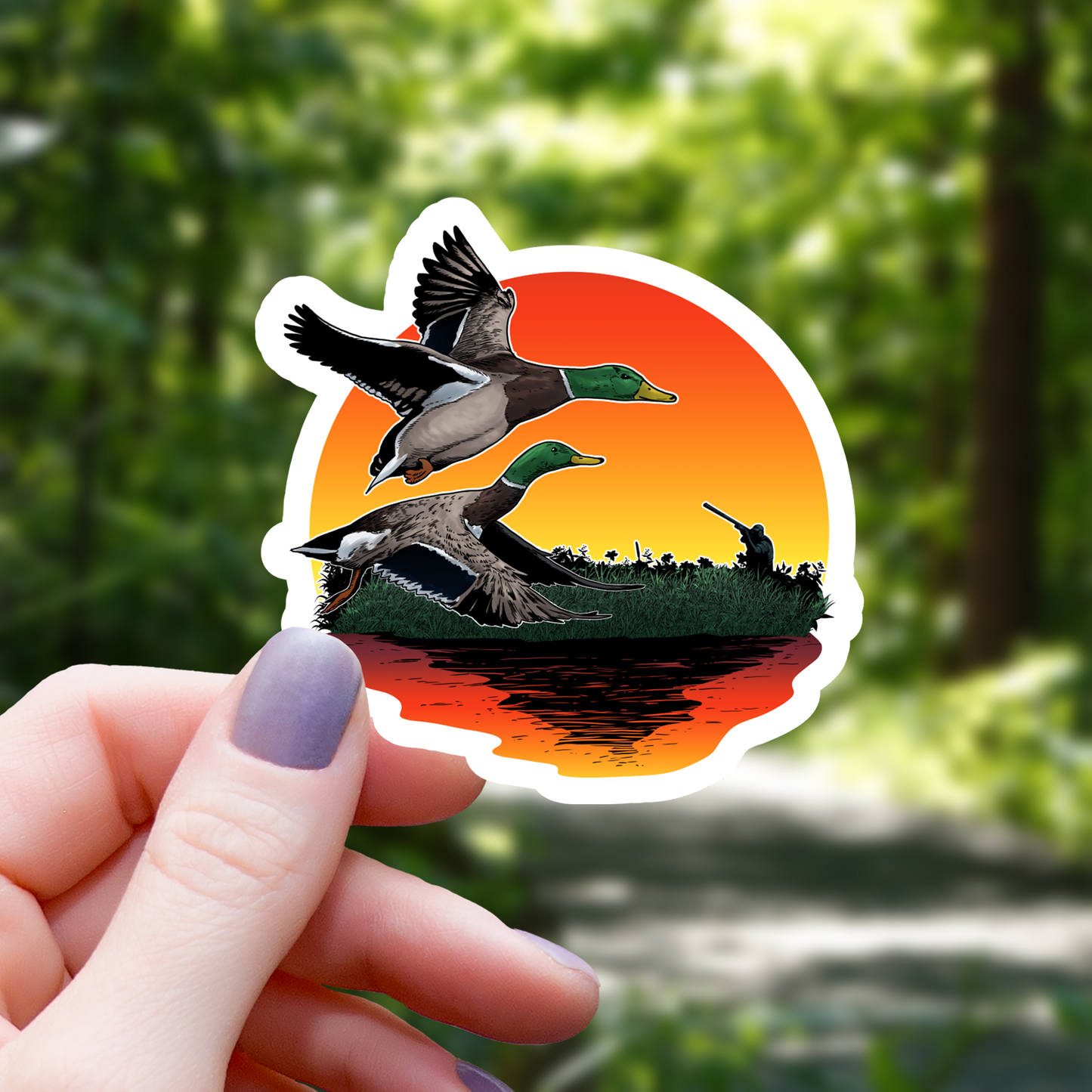 Sunset Mallard Ducks Sticker