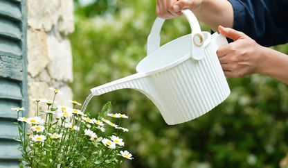 Arrosoir Garden Beetle 5L