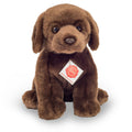 Sitzender Dunkelbrauner Labrador aus Plüsch – 25 cm