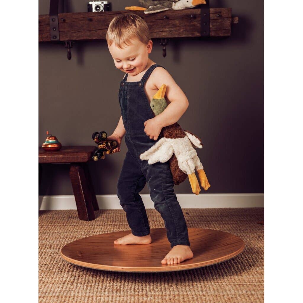 Drake Mallard Duck Plush Toy