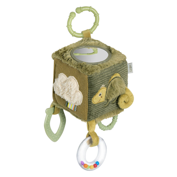 Activity Chameleon Cube