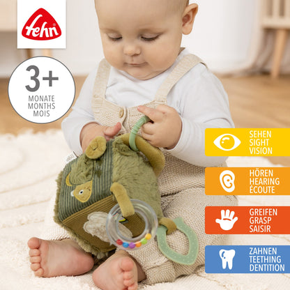 Activity Chameleon Cube