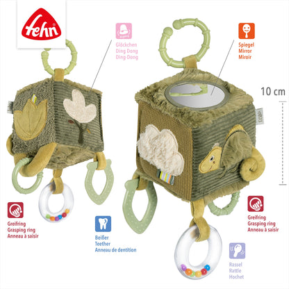 Activity Chameleon Cube