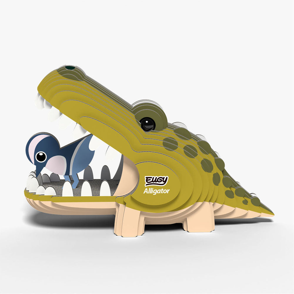 043 Alligator