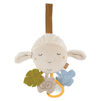 Activity Sheep