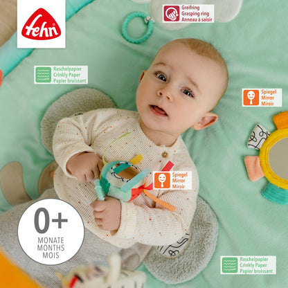 3-D-Activity-Decke Koala