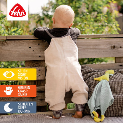 Cuddle Cloth Dino