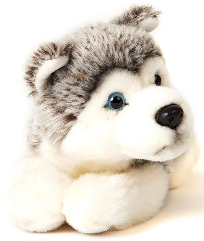 Peluche Chiot husky couché gris