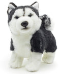 Peluche Chiot Husky, Debout (Noir) - sans Laisse - 21 cm (Longueur)