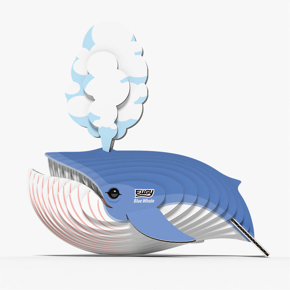 066 Balenottera azzurra