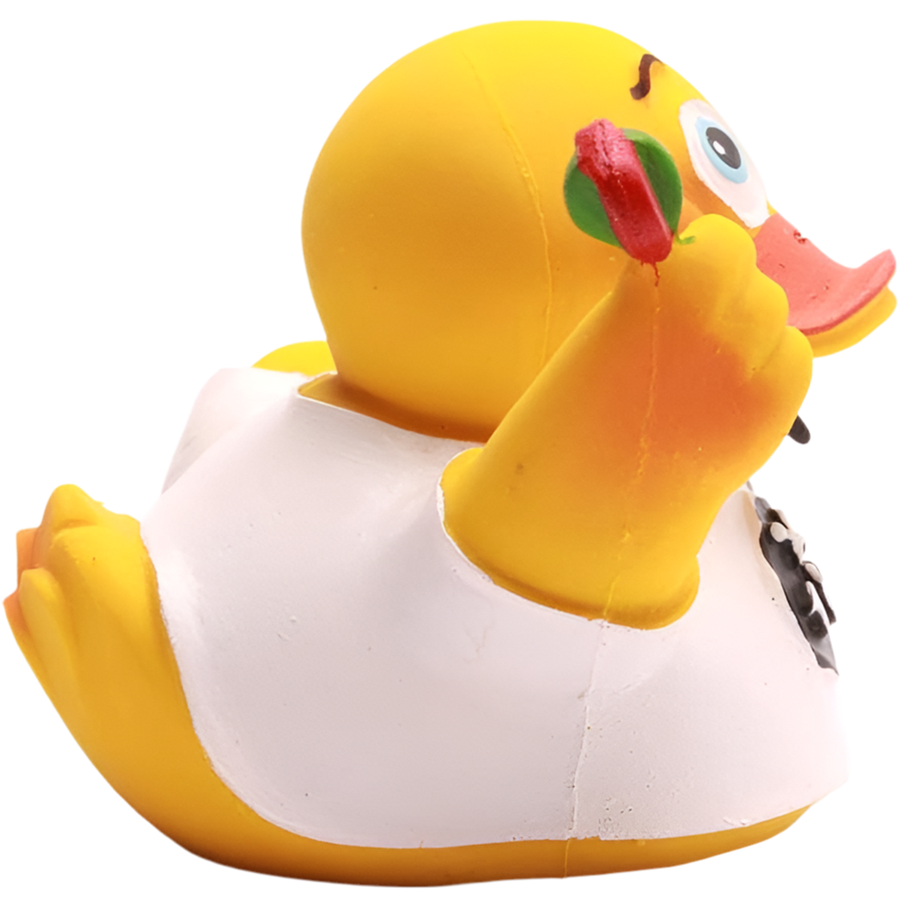 Canard Champion de Fléchettes