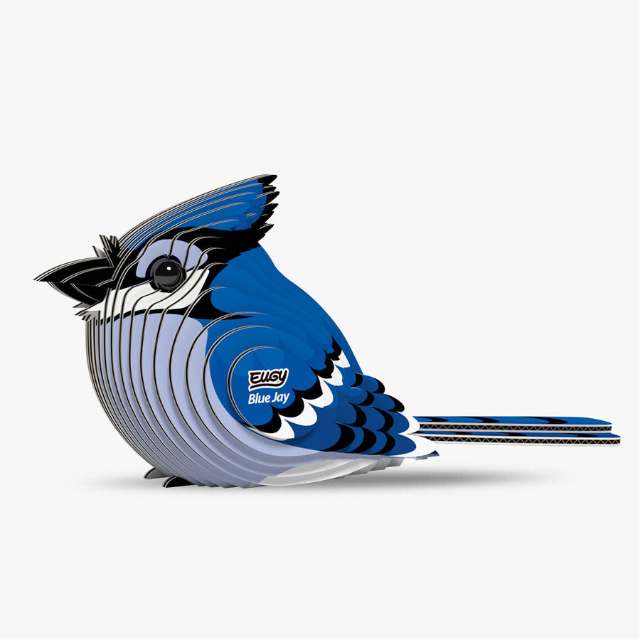 Blue Jay