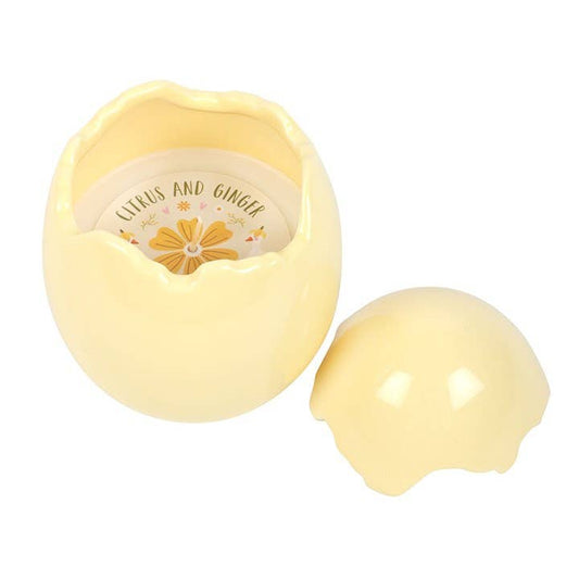 Citrus/ginger egg-shaped candle