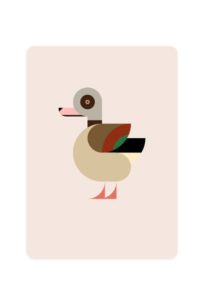 Carte postale avec Nile Goose