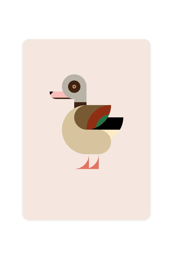Postcard with Nile Goose