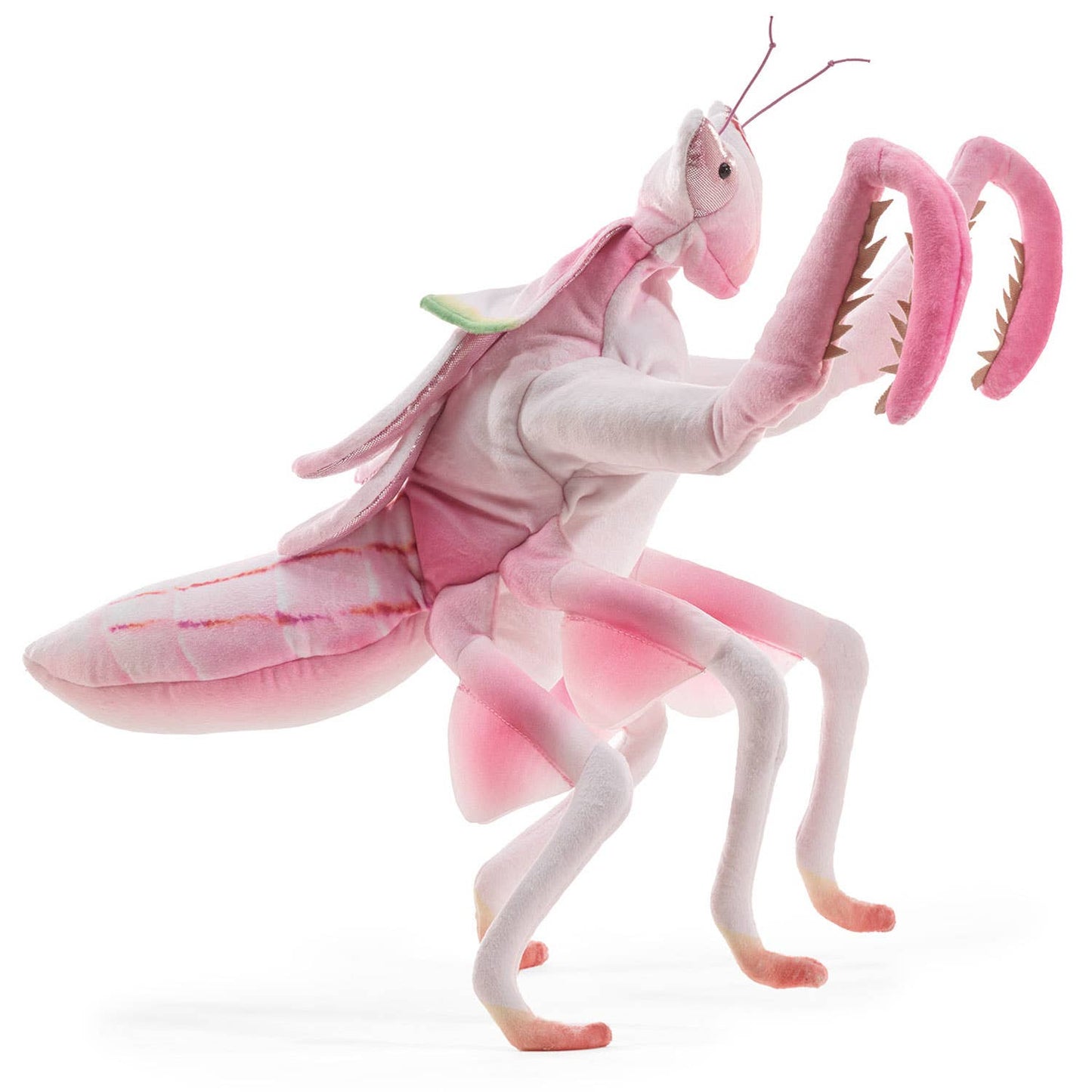 Marionnette à main Mante religieuse / Mante orchidée 3236, marionnette à main Folkmanis Folkmanis réaliste