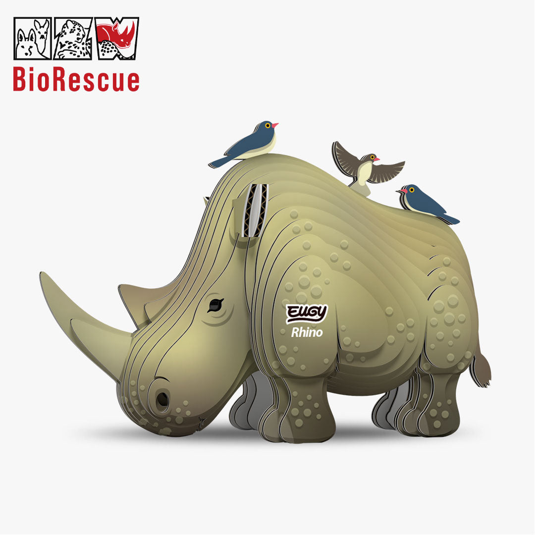 Rhinoceros