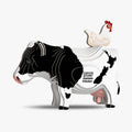079 Holstein Friesian