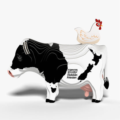 079 Holstein Friesian
