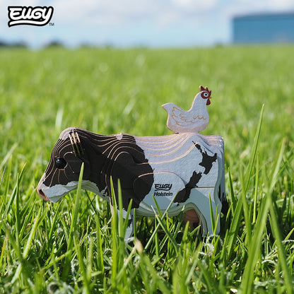 079 Holstein Friesian