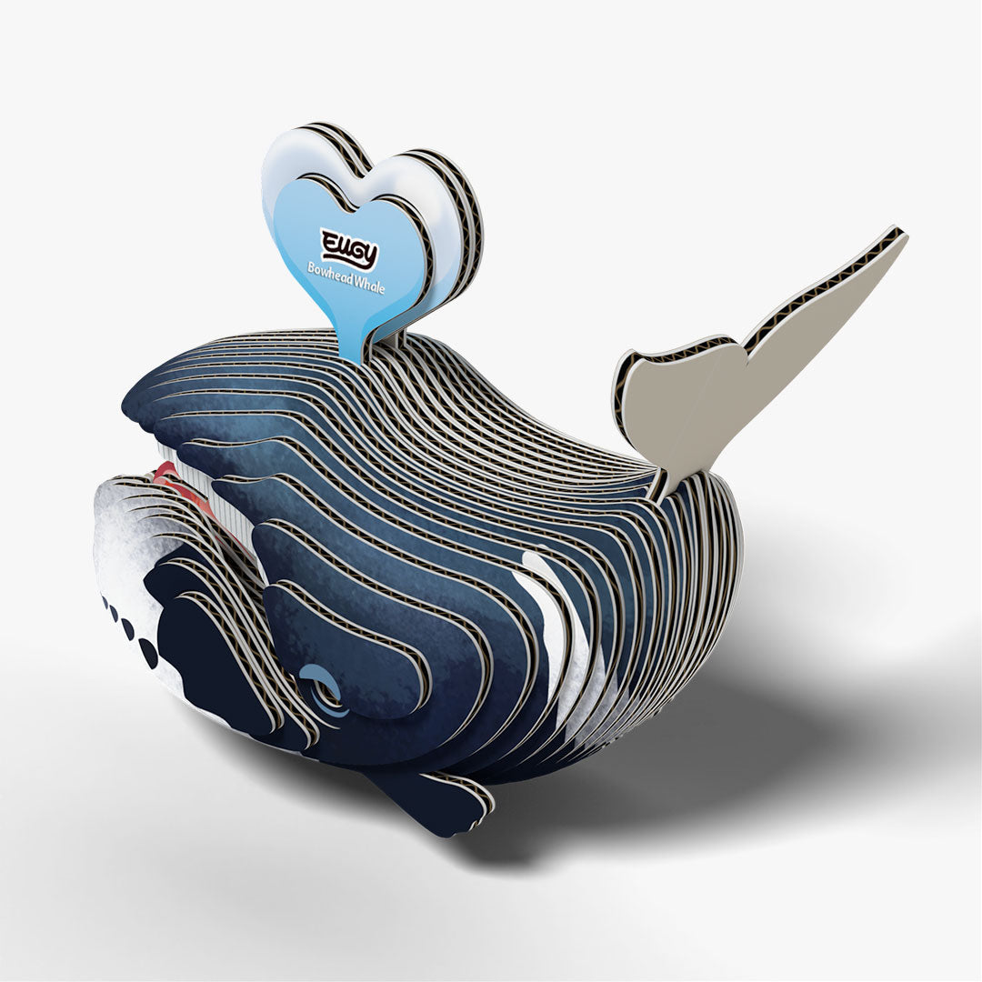 084 Bowhead Whale
