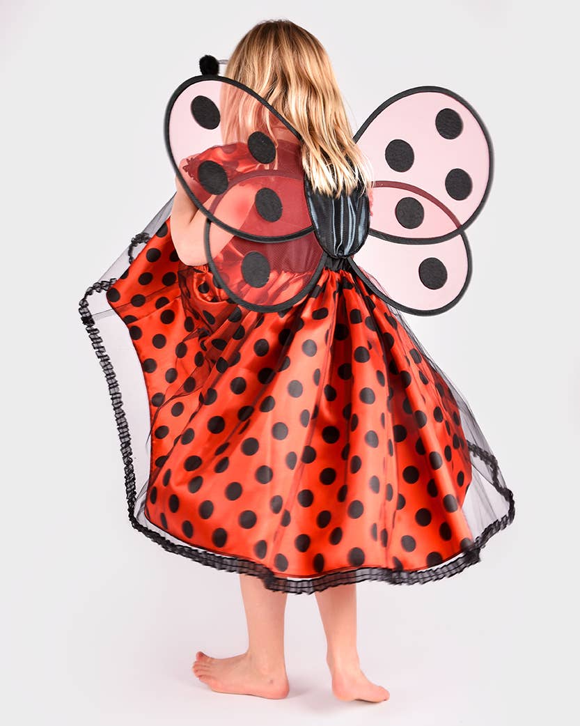 Ladybug Dress W. Acc. 110-116 Size 4-6 years