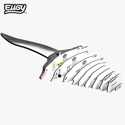 097 Royal Albatross