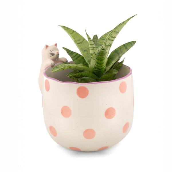 Mischievous Cat Planter