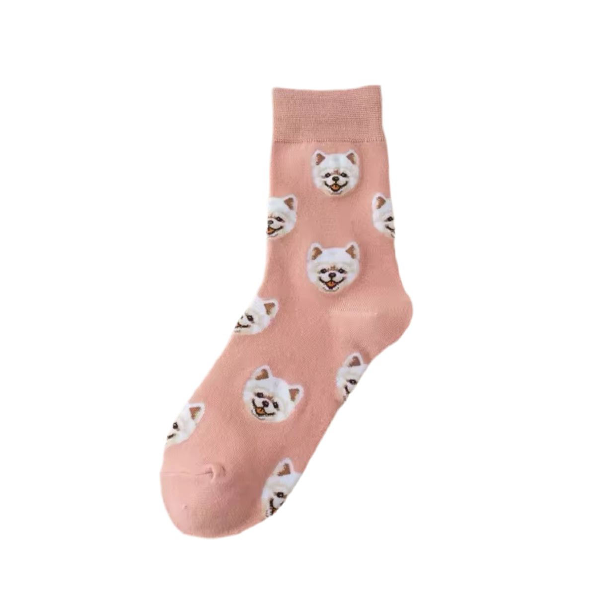 Pomeranian socks