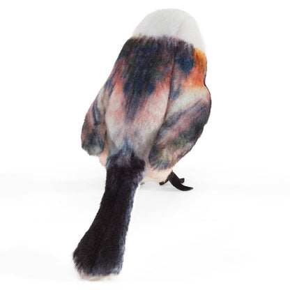 Marionnette à main Mini Mésange à longue queue / Mésange à longue queue 8018, (VE 3), Folkmanis Folkmanis réaliste